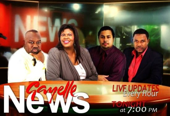 Gayelle TV Audience